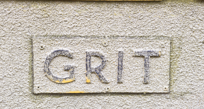 Developing Grit